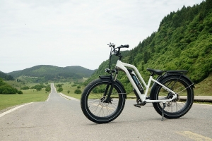 Why Do More And More People Like Electric Bikes Nowadays?