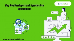 Why Web Developers and Agencies Use UptimeRobot
