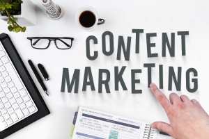 Content Marketing Agency in Delhi NCR: Elevate Your Brand's Digital Presence