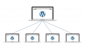 Title: How to Revert a WordPress Multisite to a Single Site