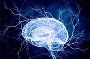 Finding the Best Epilepsy Doctor in Jaipur: Dr. Shubham Gupta - The Leading Neurologist for Neuro Treatment