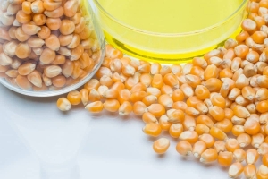 High Fructose Corn Syrup Market Gains Momentum Propelled by Evolving Consumer Habits