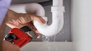 Prevent Mold & Major Water Damage with Fast Leak Detection