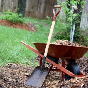 How Often Should Landscaping Maintenance Be Done in Florida?