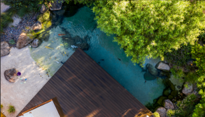 How to Create the Ideal Pond Filter System for Desert Koi Ponds