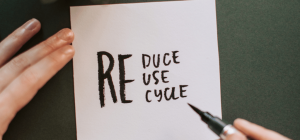 How Recycling Reduces Pollution and Promotes Green Economy Growth