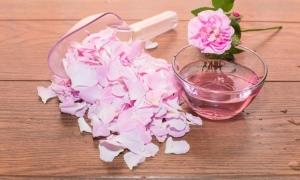 Affordable Rose Water Manufacturers in India