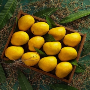 Fresh Alphonso Mangoes Online in Mumbai – Delivered Straight to Your Home