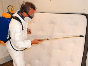 Effective Bed Bug & Flea Extermination Services in Odessa TX A Comprehensive Guide