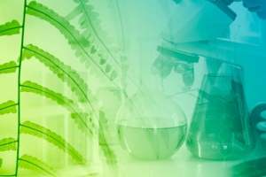 The Growing Landscape of Nutraceutical Manufacturing in Singapore