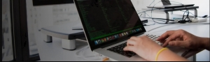 Security Consultants