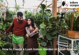 How to Create a Lush Indoor Garden in Small Spaces