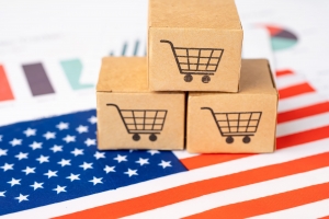 Exploring the Most Successful Shopify Stores in USA