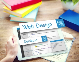 15+ Custom Web Designing results by Arobase Technologies Enhancing Your Digital Presence 