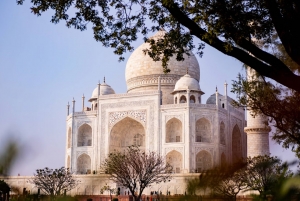 Same Day Agra Tour by Car – Discover the Iconic City in Just One Day