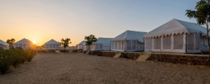 Discover the Magic of Jaisalmer Desert Camps: Stay, Food & Culture