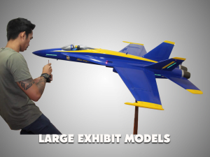 custom aircraft models