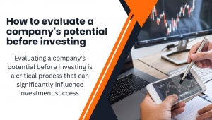 How to evaluate a company's potential before investing