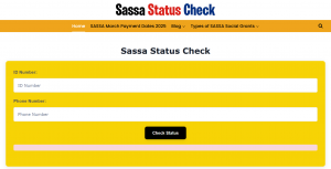 SRD Status Check Declined: Understanding the Reasons and How to Resolve Them