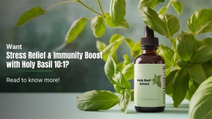 Top Reasons B2B Suppliers Should Invest in Holy Basil Extract Powder 10:1