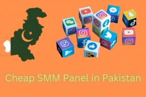 How to Boost Social Media Growth Through Cheap Smm Panel Pakistan?