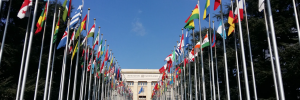 Discover the World of Flags at Globe Flags