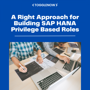 A Right Approach for Building SAP HANA Privilege Based Roles