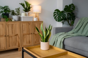 Opulent Living: Must-Have Luxury Home Décor Pieces for a Lavish Lifestyle