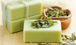 Castile Soap Manufacturer In India
