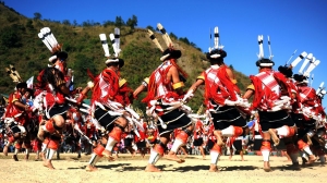 https://specialplacesofindia.com/the-hornbill-festival-nagaland/