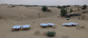 A Magical Night in the Thar: The Ultimate Jaisalmer Camping Adventure