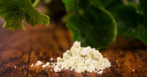 How Wasabi Rhizome Powder Boosts Your Health and Nutrition