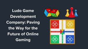 Ludo Game Development Company: Paving the Way for the Future of Online Gaming Company