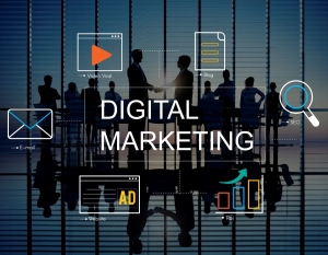  Digital Marketing Agency