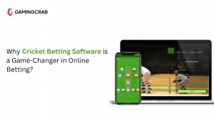 Why Cricket Betting Software is a Game-Changer in Online Betting