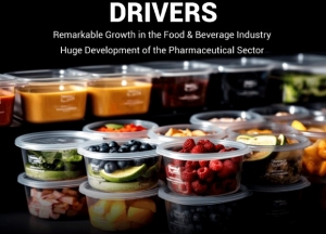 Thermoform Packaging Market Insights: Trends, Size, and Growth Analysis to 2032