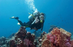 10 Motivating Factors for Getting Your PADI Certification
