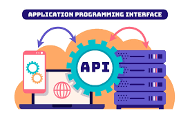 The Role of APIs in Web Development: Everything You Need to Know