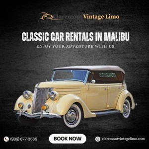 Tips to Enjoy Your Classic Car Road Trip in Malibu