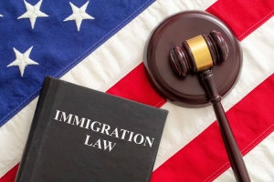 Why Experience Matters in an Immigration Law Firm?