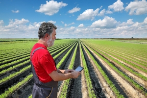 Understanding The Essentials Of Farm Accounting
