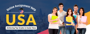 Let Assignment Help Services USA Work Their Magic!