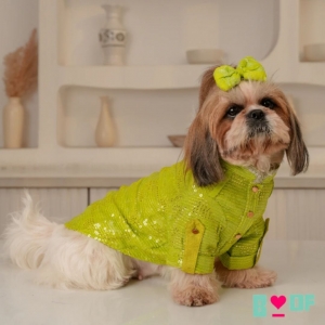 Dog clothes for all breeds