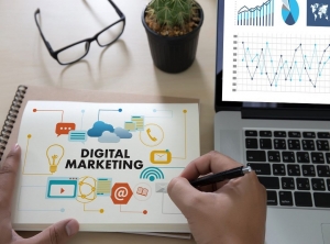 Digital Marketing Consultant in Delhi
