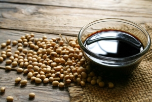 Top 8 Steps for Establishing a Soy Sauce Manufacturing Plant