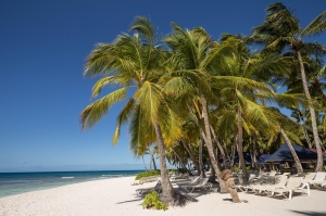 Unforgettable All-Inclusive Dominican Vacation Packages – Paradise Awaits! 