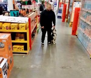 How In Home Dog Training in Los Angeles Enhances Behavior?
