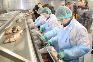 Fish Processing Market is Estimated to Witness High Growth Owing to Rising Fish Consumption