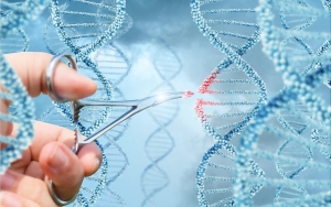 Genome Editing is Estimated to Witness High Growth Owing to Advancements in CRISPR Technology