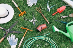 Gardening Equipment Market to Grow at Highest Pace Owing to Rising Urban Gardening Trend